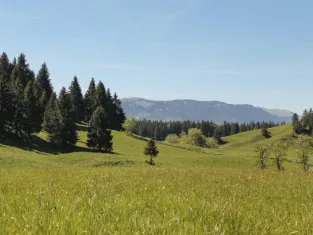Les reliefs du haut jura Les reliefs du haut jura