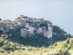 T. Vattard Cinque Terre, Italie