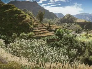 © Adobestock Igor Tichonow cap-vert