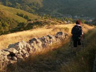 stevenson-marcheur stevenson-marcheur