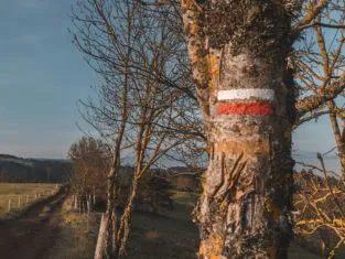 ©pvillemejane chemin-stevenson