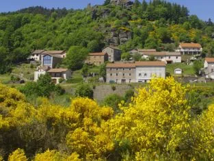 psj village-de-luc-stevenson