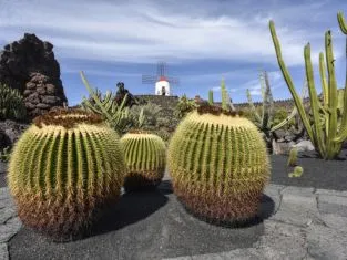 jardin de cactus lanzarote