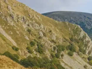 Le massif des Vosges