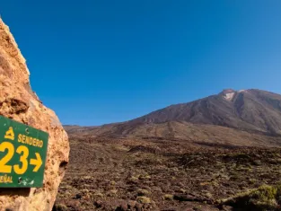 teide-istockoriredmouse