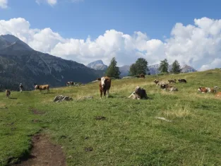 Alpages Prato Piazza, Dolomites, Italie