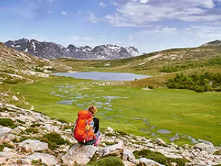 AdobeStock Randonneur dans un parc naturel - AdobeStock