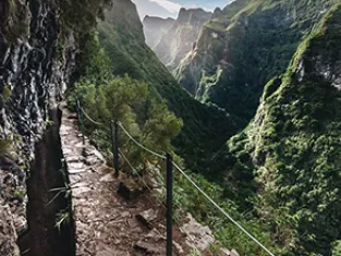 © Mike Drago Levada à Madère - Mike Drago