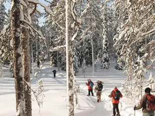 © Upitrek Randonnée raquettes en Finlande - Upitrek