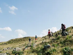 Chemin de randonnée