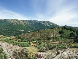 P. Saint Jean Vue sur le Mont Lozère