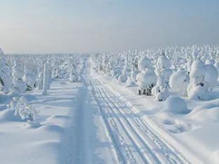 © Upitrek  La FInlande - Upitrek