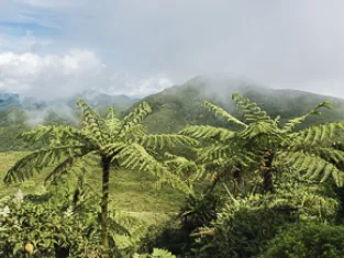 La Soufrière sur l'île de la Guadeloupe La Soufrière sur l'île de la Guadeloupe