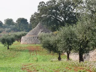 Village de trulli Village de trulli