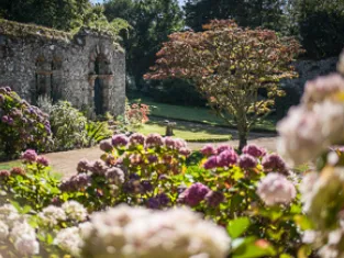 T. Vattard Jardin à l'anglaise
