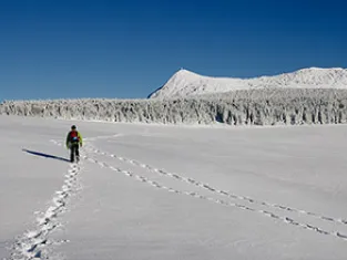 © PSJ raquettes dans le Mézenc - PSJ
