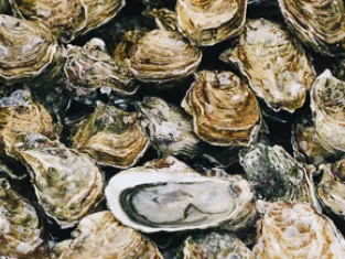 Huîtres du Bassin d'Arcachon Huîtres du Bassin d'Arcachon