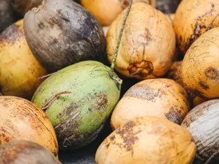 Noix de coco Noix de coco