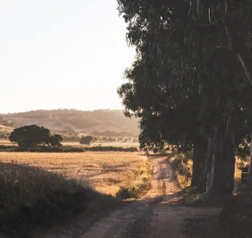 chemin-rota-vicentina-alentejo