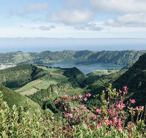 ©fweber caldeirasaomiguelacores