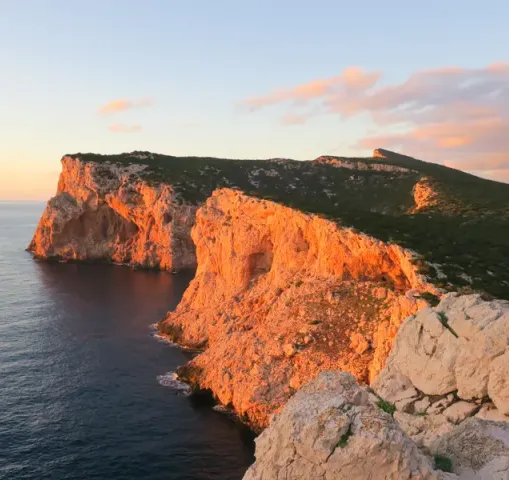 ABournerie Sardaigne