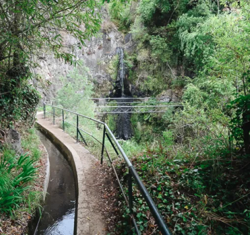 levada-foret-madere