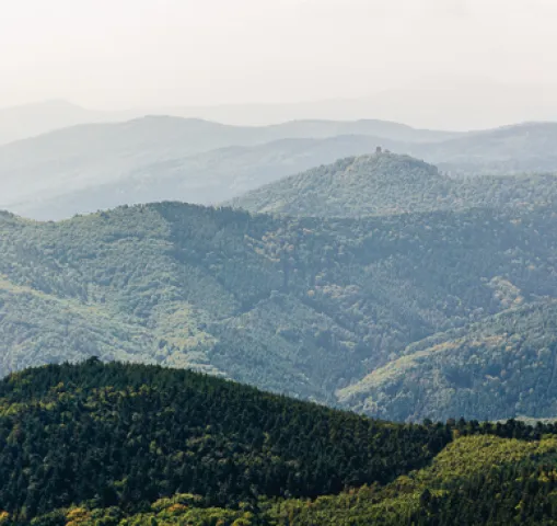 ©andronov massif-vosges