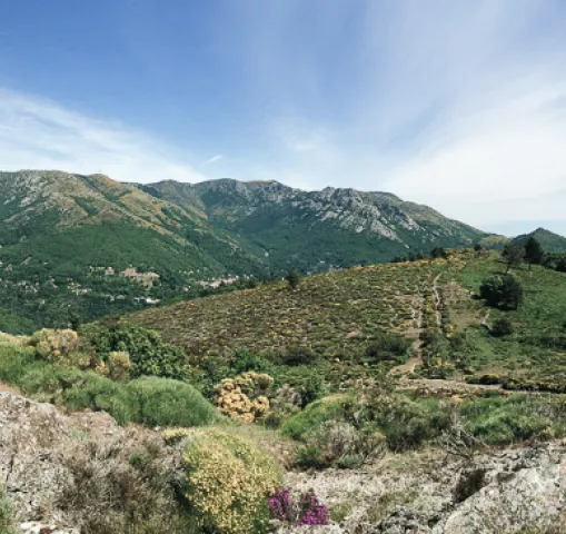 paysage-nature-cevennes