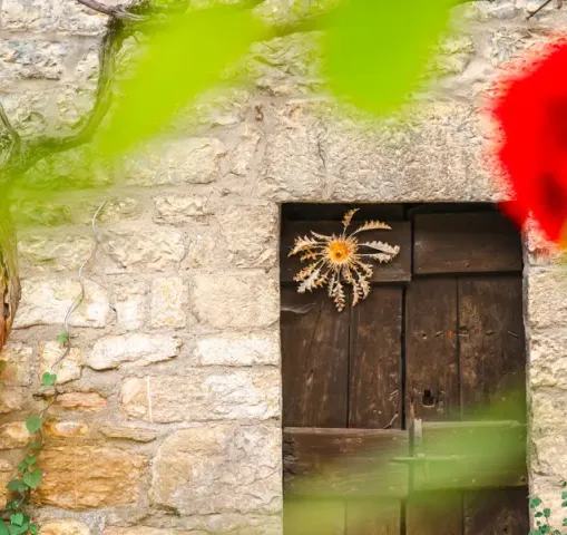 Gorges du tarn et de la jonte