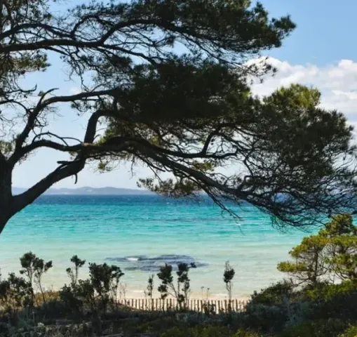 porquerolles, île d'or