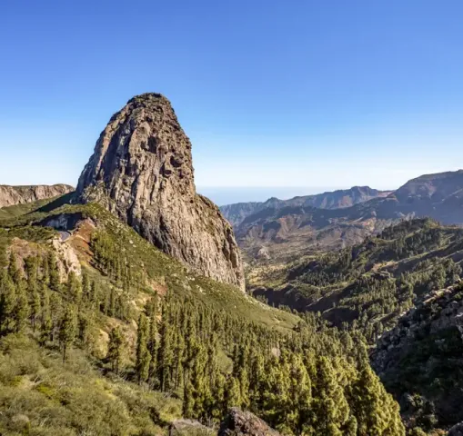 randonnee gomera parc garajonay