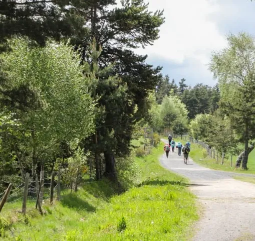 marcheurs en groupe compostelle
