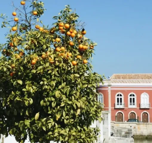 algarve portugal