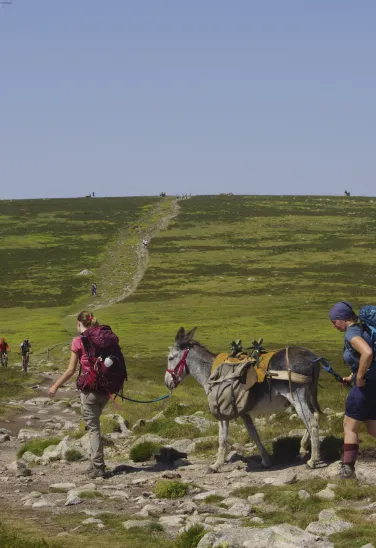 stevenson sommet finiels