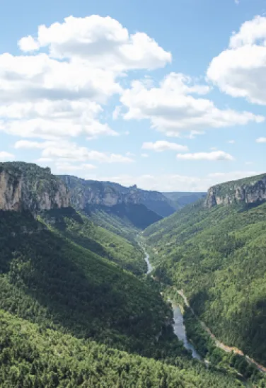 vallee-sauvage-gorges-tarn-psjean
